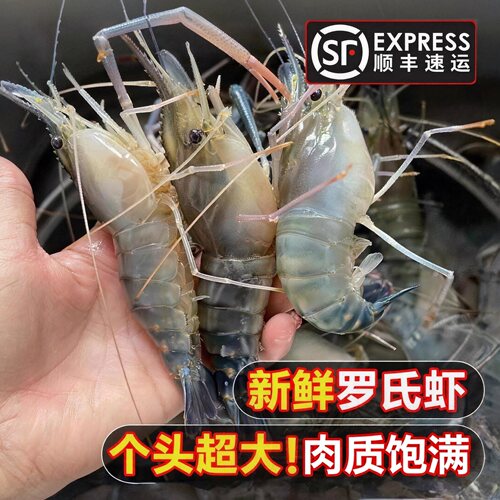 【顺丰到家】淡水罗氏虾冷冻新鲜大头虾超大虾淡水河虾鲜水产虾类