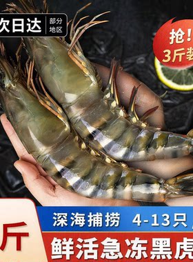 【顺丰空运】黑虎虾冷冻大老虎虾速冻特大对虾黑虎虾海虾无冰竹斑