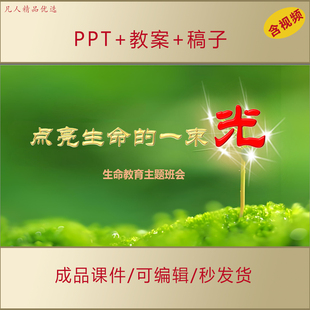 中小学生思政课PPT点亮生命的一束光生命教育主题班会课件AL637
