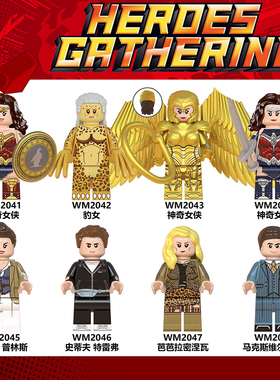 正义联盟戴安娜神奇女侠豹女WM6100第三方拼装积木人仔玩具