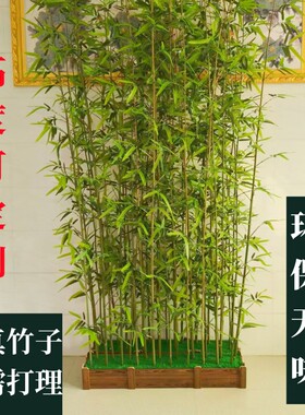 仿真竹子落地假竹子客厅新中式禅意绿植盆栽摆件大型植物装饰盆景