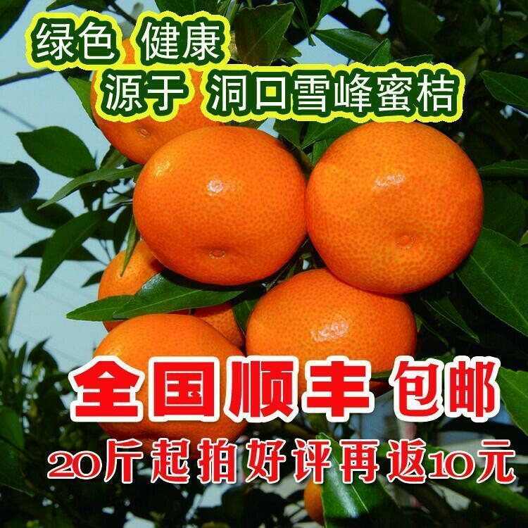 周总理命名的雪峰蜜桔无核蜜桔/外国人赞不绝口/洞口橘子新鲜水果