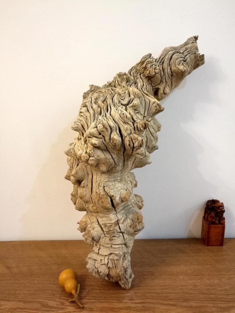 太行崖柏陈化原料毛料手串手把件摆件根雕造型沙漠风化木正宗特价