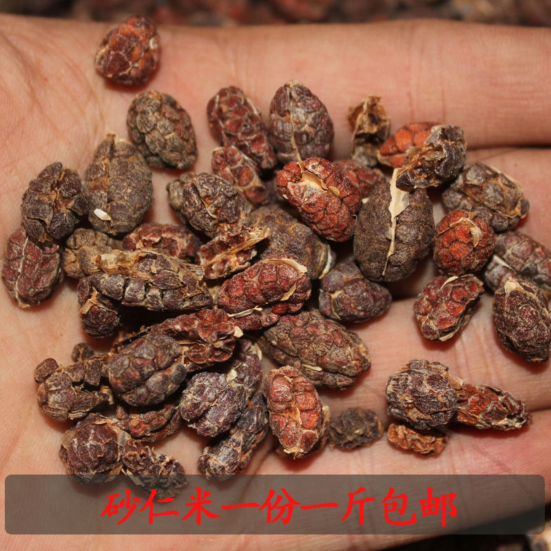 无硫中药材砂仁米500克 去壳阳春砂仁米壳砂仁肉香料大全免费磨粉