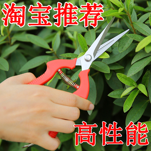 花剪修枝剪树枝剪刀园艺剪刀粗枝剪园林剪果树剪工具修花剪果采果