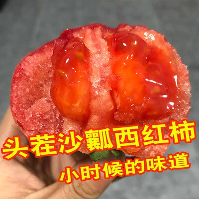 普罗旺斯沙瓤西红柿现摘现发