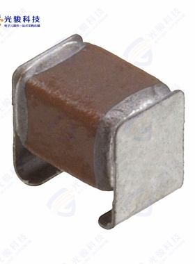 CKG32KC0G2W223J335AH《CAP CER 0.022UF 450V C0G SMD》