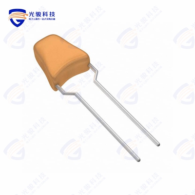 199D106X0035DXV1E3《CAP TANT 10UF 20% 35V RADIAL》