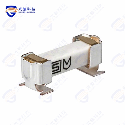 3404.2415.11《FUSE BRD MNT 800MA 277VAC 250VDC》