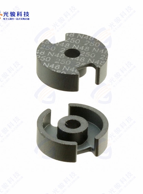 B65541T0250A048《FERRITE CORE P 250NH N48 2PCS》