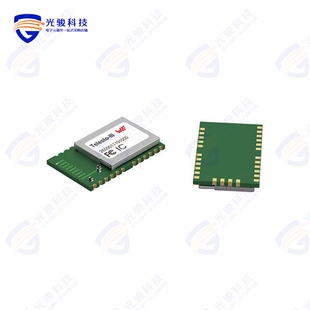 2609011191000《TELESTO-III RADIO MODULE 915MHZ》