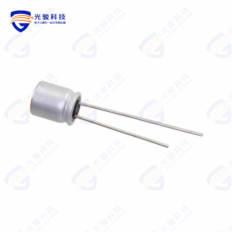 RS81C101MDN1《CAP ALUM POLY 100UF 20% 16V T/H》