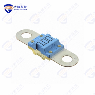 LINK 153.5631.6101 32VDC 100A FUSE AUTO