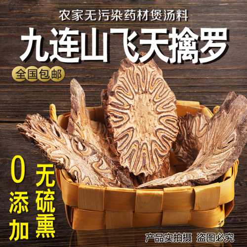 飞天擒罗龙骨风正品干货山卡崂