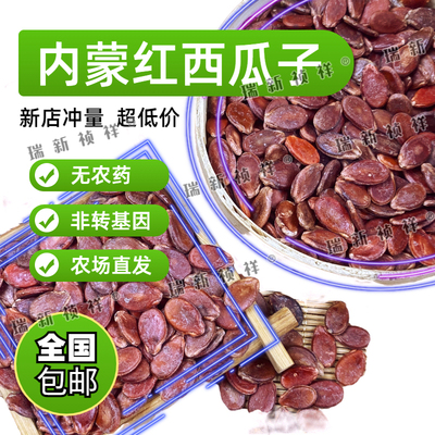 新鲜红瓜子原味生红瓜子内蒙古特产婚庆红瓜子产地直销五香味炒熟