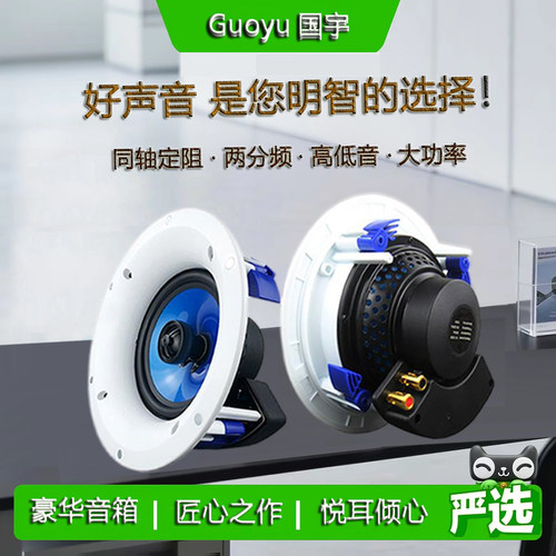 吸顶音箱Guoyu/国宇重低音立体声