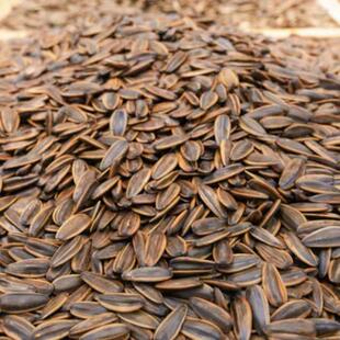 包邮 薛记炒货大黑原味多味瓜子水煮焦糖瓜子江浙沪皖3件 合肥 代购