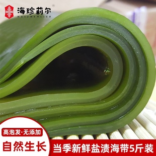 新货鲜嫩海带整张大片新鲜盐渍海带海带包饭凉菜凉拌做饭包