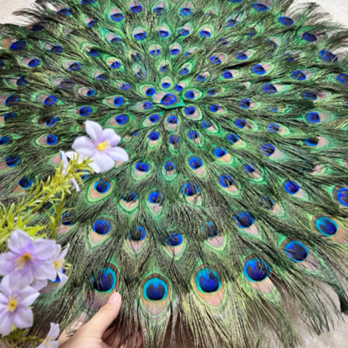 纯天然孔雀毛挂画羽毛家居饰品