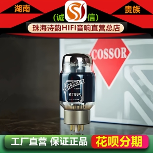 工厂店 PSVANE/贵族之声COSSOR KT88碳晶电子管代KT88\6550胆机管