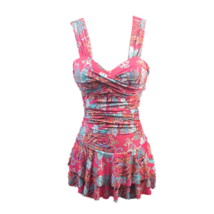 泳衣女夏显瘦遮肚露背钢托聚拢保守泡温泉泳装 特价 游泳衣连体裙式