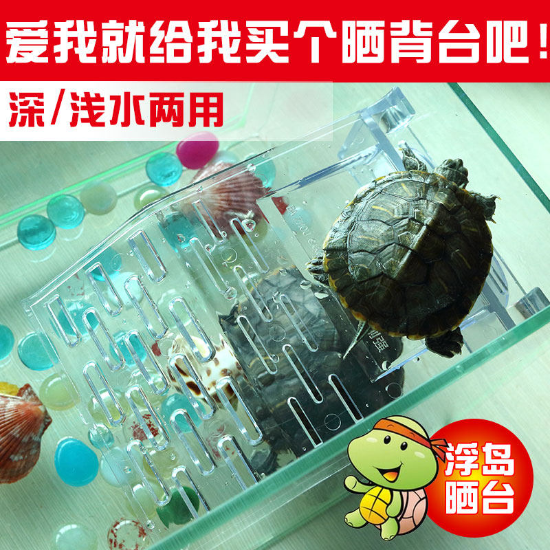 Tortoise Flat roof fish tank Aquarium Tortoise Climbing Raft Red-eared Terrapins Ladderin the Pet/Pet food and supplies , Reptile/Insects and supplies Ming , Reptile/Insect appliances Ming  category - from Buy2taobao.com to provide professional Taobao agent buy service