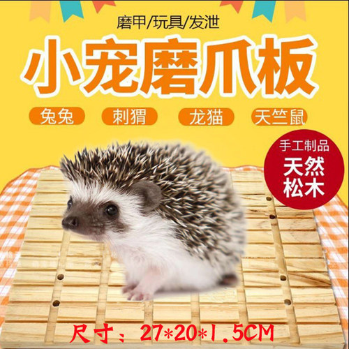 刺猬松鼠龙猫磨甲板兔子