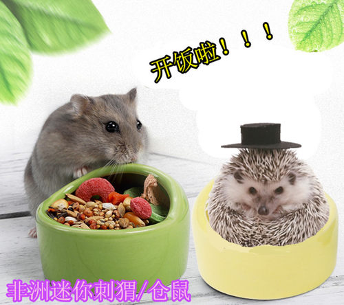 食盆