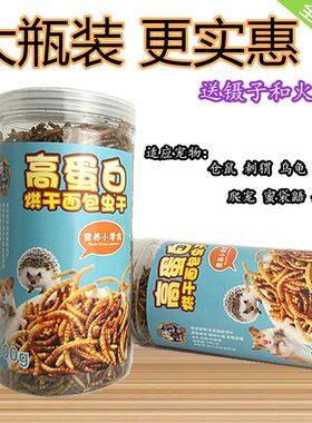 蛐蛐蟋蟀干活体饲料蜥蜴守宫龙鱼鹦鹉画眉鸟蜘蛛变色爬虫零食物