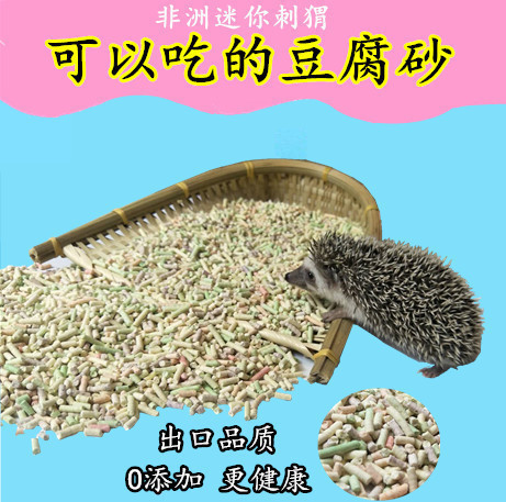 除臭包邮原味奶香非洲迷你刺猬