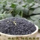 2025农家自产老品种肾型小黑豆黄心芯雄黑豆醋泡豆马料豆发豆芽浆