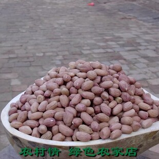 2025年新货 农家自种花生 花生米 花生果仁 农村直发