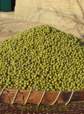 发豆芽好无农药化肥500克绿豆