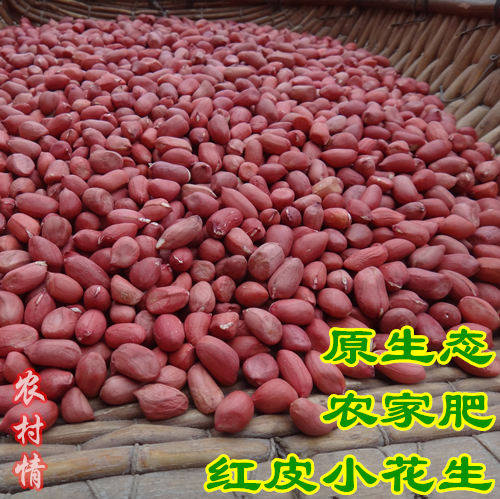 农村情2026农家新红皮花生小粒红皮红衣花生米四粒红花生养胃500g