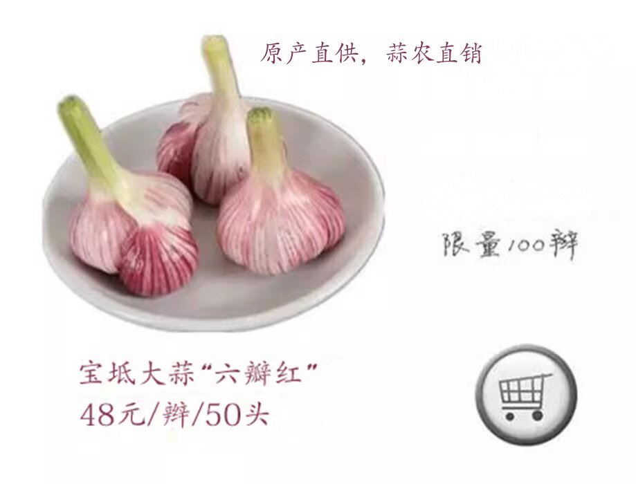 林亭口紫皮大蒜六瓣红宝坻特产红皮蒜鲜蒜无公害散装50头带苗鲜蒜