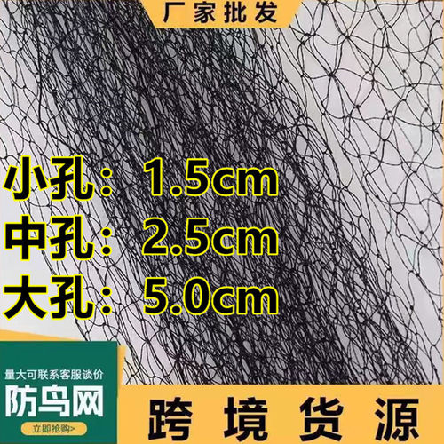 防鸟网单丝网草莓樱桃大棚鱼塘渔池葡萄防护网黑色