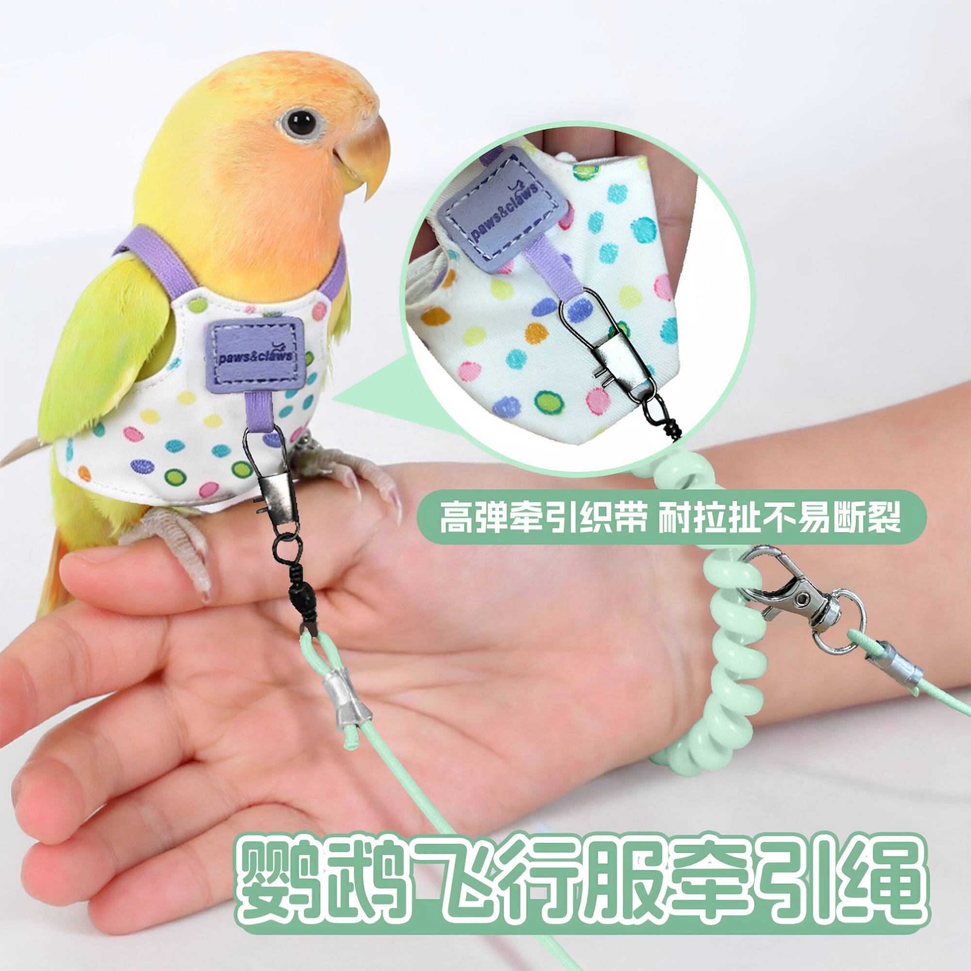 鹦鹉胸背带牵引绳超轻遛鸟外出背带玄风虎皮放飞绳牵引防丢飞行服