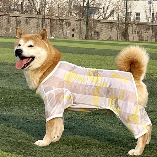 狗狗网眼面料不粘毛中大型犬
