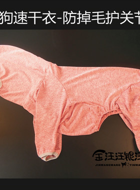 新款中大型犬防掉毛四脚衣服春夏透气护肘服金毛萨摩耶边牧防晒衣