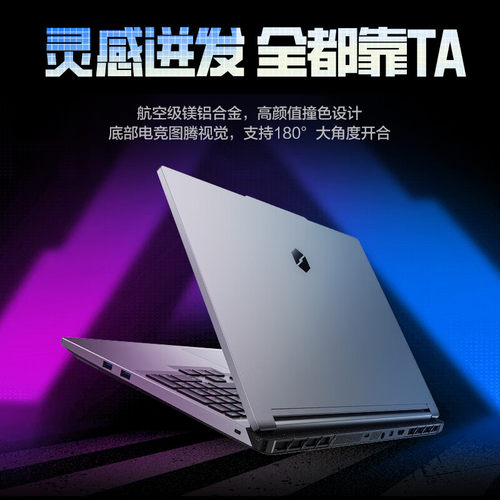 MECHREVO/机械革命 极光X系列 极光X