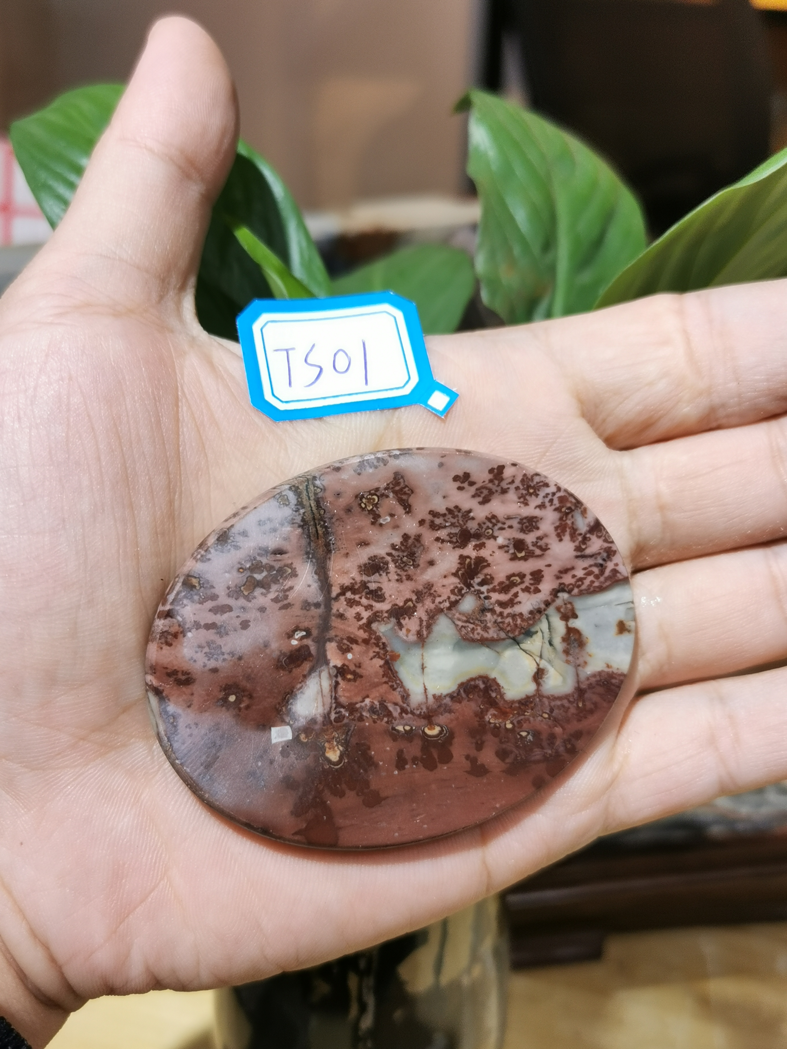 天然石广西草花石奇石国画石山水花纹6cm椭圆片茶杯垫手把玩挂件