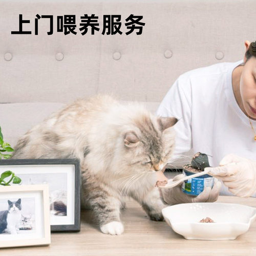 南宁上门喂养猫咪鱼鸟寄养宠物服务陪玩铲屎清理观察状态喂食换水