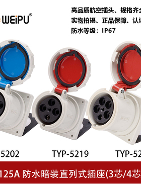 威浦TYP5202-5219-5224工业插暗装插座125A3P4芯5防水IP67连接器