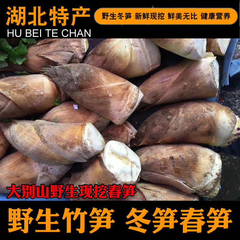 新鲜现挖春笋冬笋野山笋竹笋湖北武穴本地土笋鲜笋味道鲜美梅川笋
