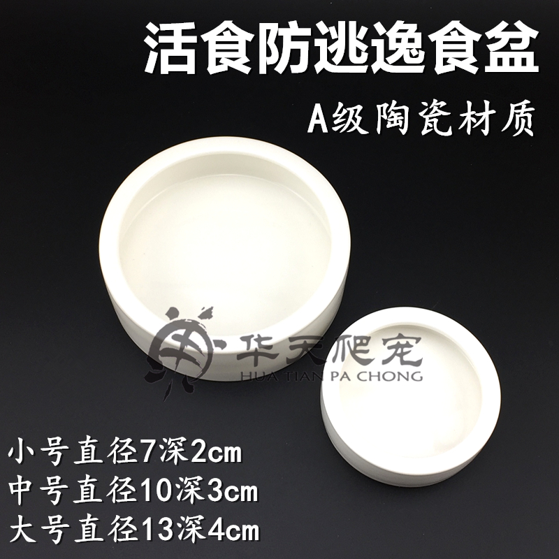 爬虫防逃逸食盆防逃脱爬宠蜥蜴守宫鬃狮面包虫大麦虫陶瓷超SUDO