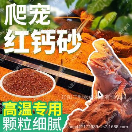 陆龟爬虫沙垫材鬃狮蜥蜴守宫用品爬宠沙饲养沙漠造景装饰钙砂宠物