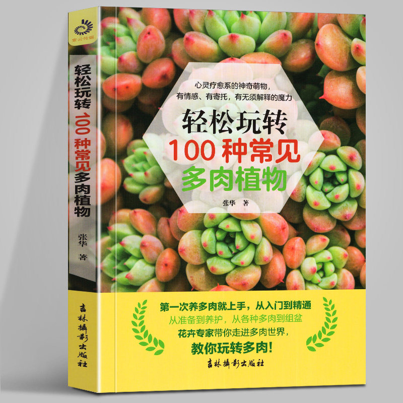 多肉植物繁殖方法素材模板 多肉植物繁殖方法图片下载 小麦优选