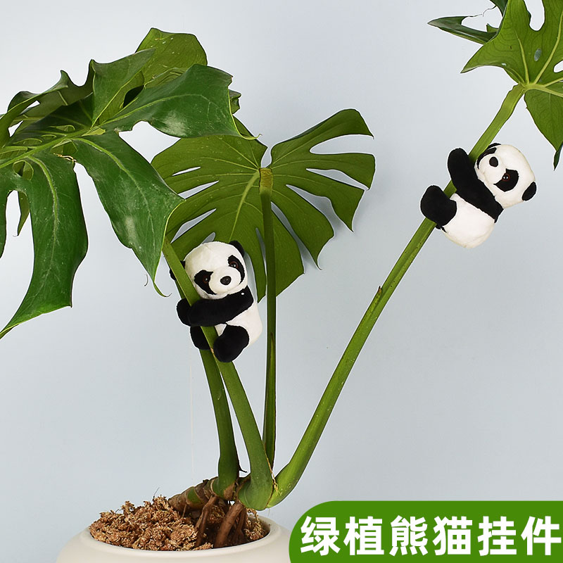 金钱树装饰绿植挂件迷你熊猫挂件