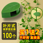 爬藤固定器绿萝攀爬神器绿植夹子花卡扣藤曼牵引架植物固定夹花墙