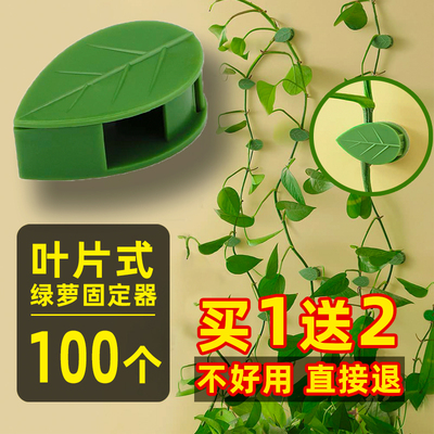 爬藤固定器绿萝爬墙神器牵引夹子